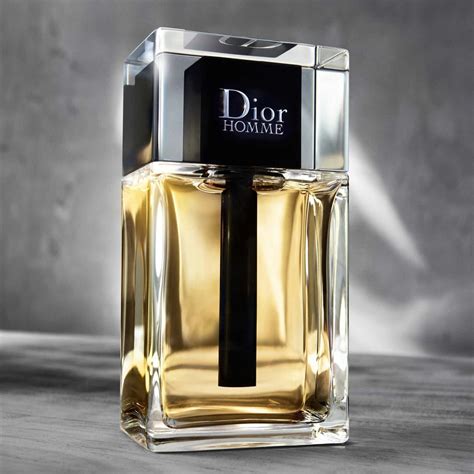 dior homme mini